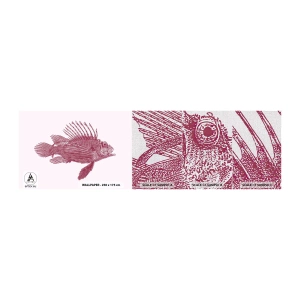 Vzorka fototapety Premium Canvas - Obyvateľka exotických vôd - Ryby, perutýn, Tropické - 100x30 cm