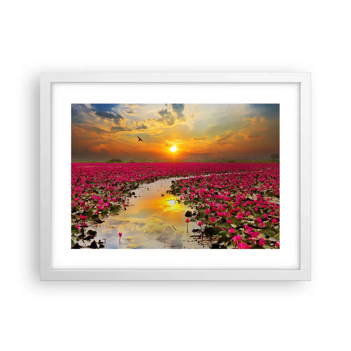 Plagát v bielom ráme - Tajomný život jazera - 40x30 cm