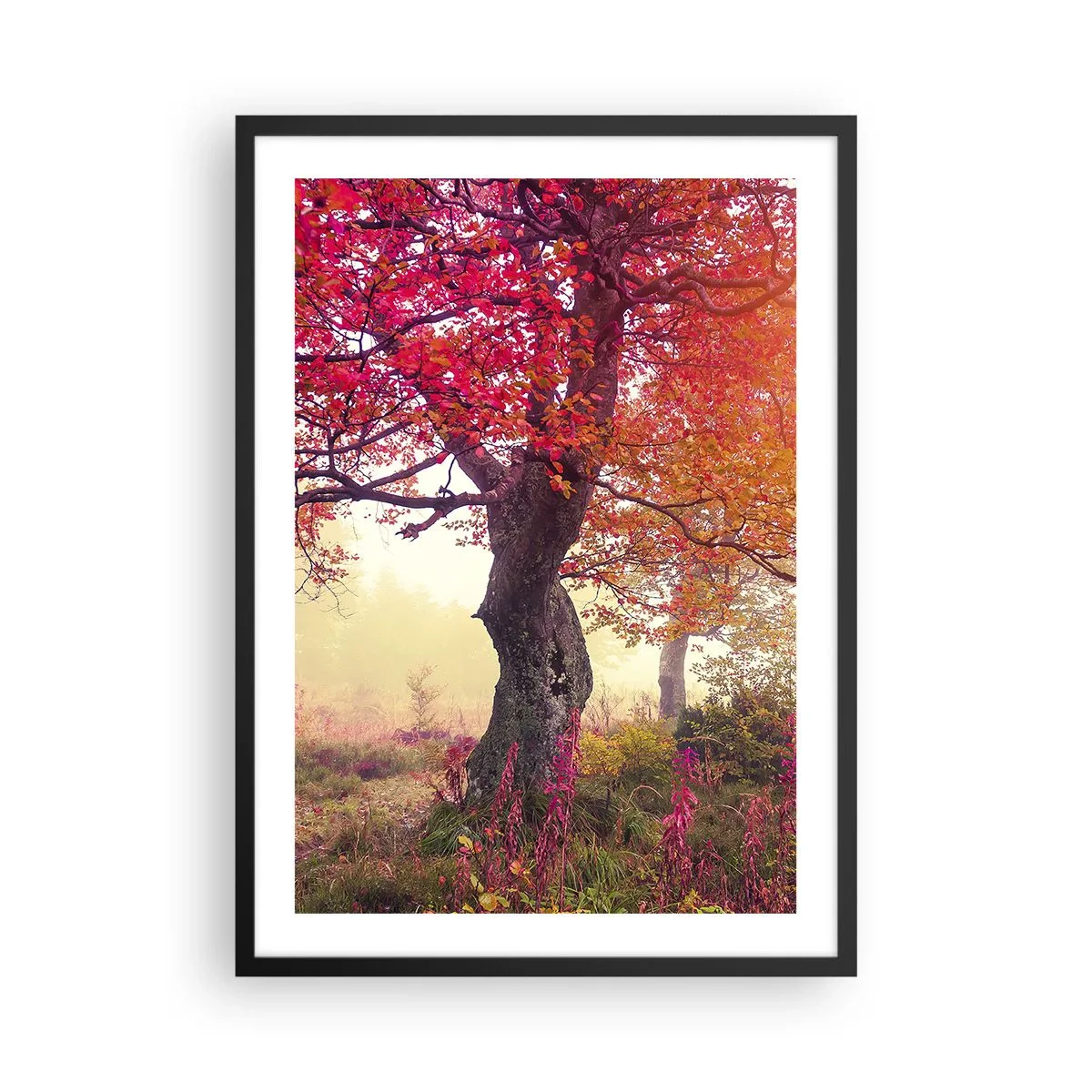 Plagát v čiernom ráme - Strom s červenými listami v jesennej krajine - 50x70cm - Šialenstvo rozkvetu - Moderná nástenná dekorácia do obývacej izby a spálne ARTTOR