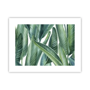 Plagát - Proste zelená - 40x30 cm