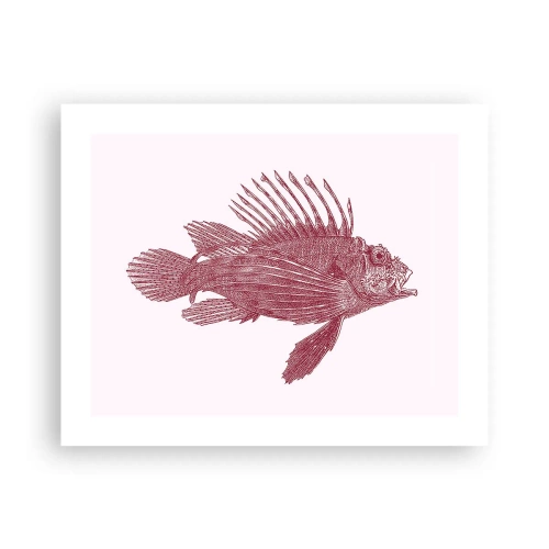 Plagát - Obyvateľka exotických vôd - 50x40 cm