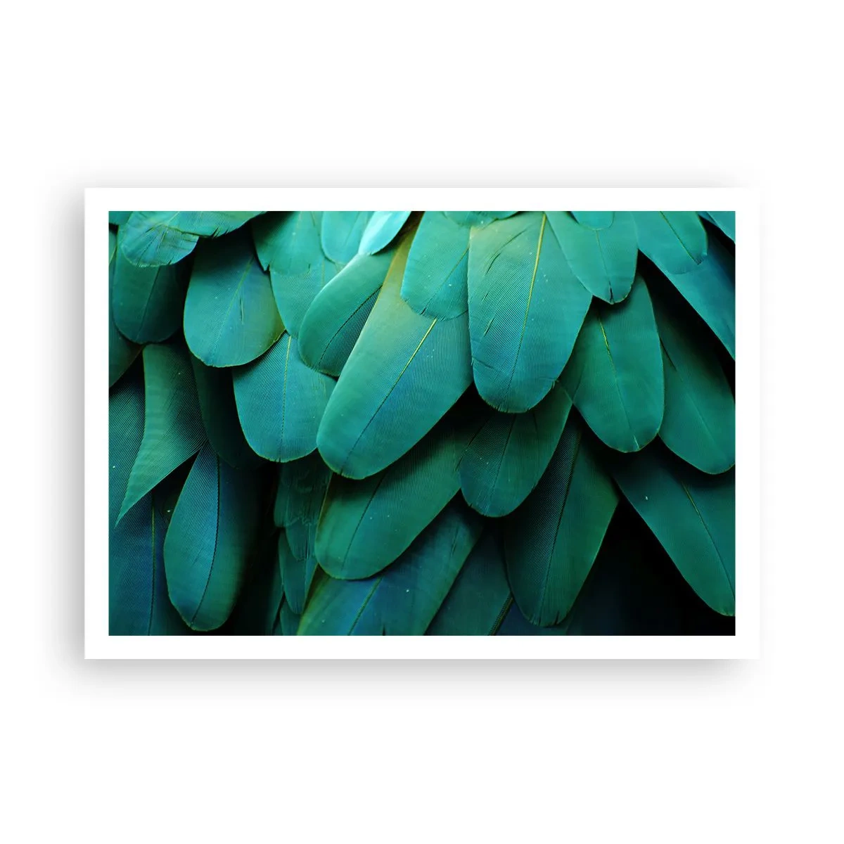 Plagát - Presnosť papagájovej povahy - 100x70 cm