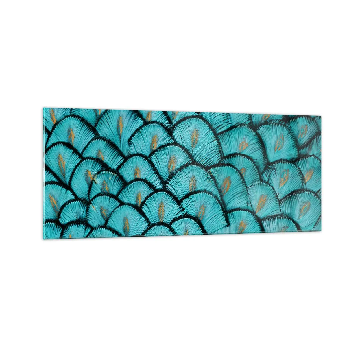 Obraz na skle - Veľká slávnosť peria - 100x40 cm