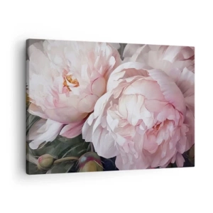 Obraz na plátne - Jemné ružové pivonky v plnom kvete - 70x50cm - Uchytené v rozkvete - Moderná nástenná dekorácia do obývacej izby a spálne ARTTOR