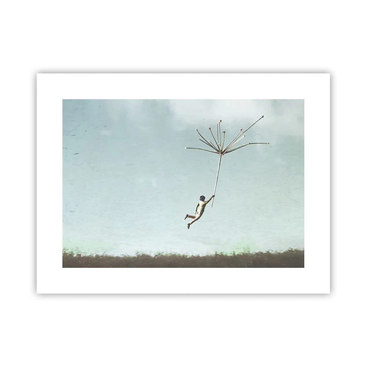 Plagát - Lietajúca púpava - 40x30 cm