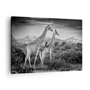 Obraz na plátne - Čiernobiele siluety dvoch žiráf v savane - 70x50cm - Vyššie kruhy v Afrike - Moderná nástenná dekorácia do obývacej izby a spálne ARTTOR