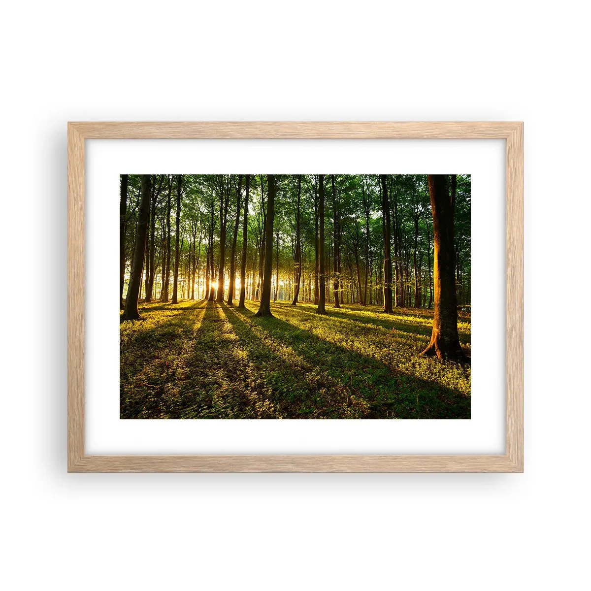 Plagát v ráme zo svetlého duba - Fotografie všetkých jarí - 40x30 cm
