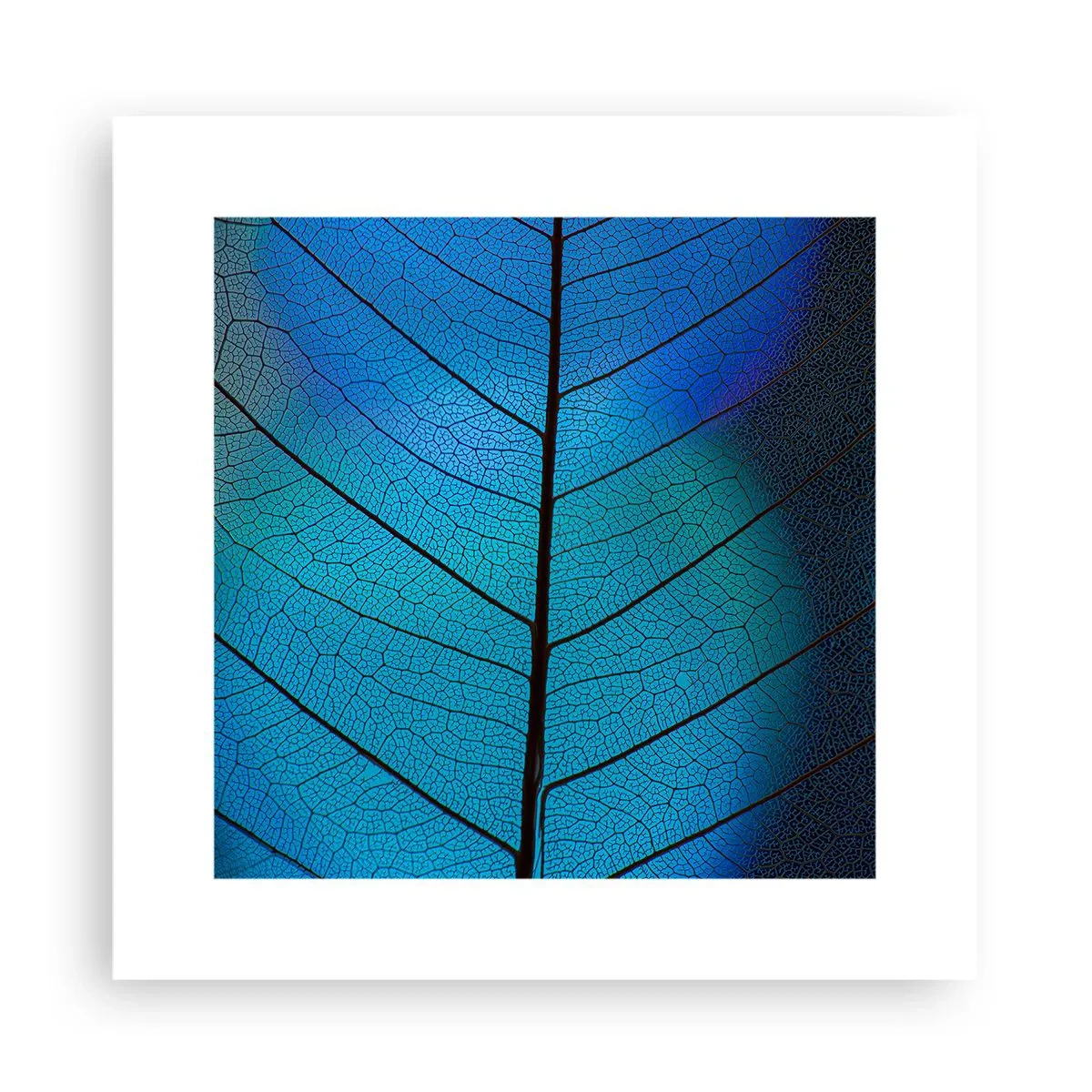 Plagát - Až do detailov - 30x30 cm