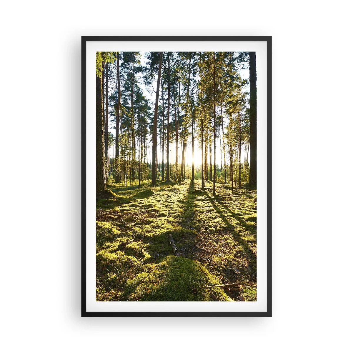 Plagát v čiernom ráme - …Za siedmimi lesmi - 61x91 cm