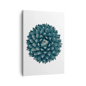 Obraz na plátne - Hviezda púšte - 50x70 cm