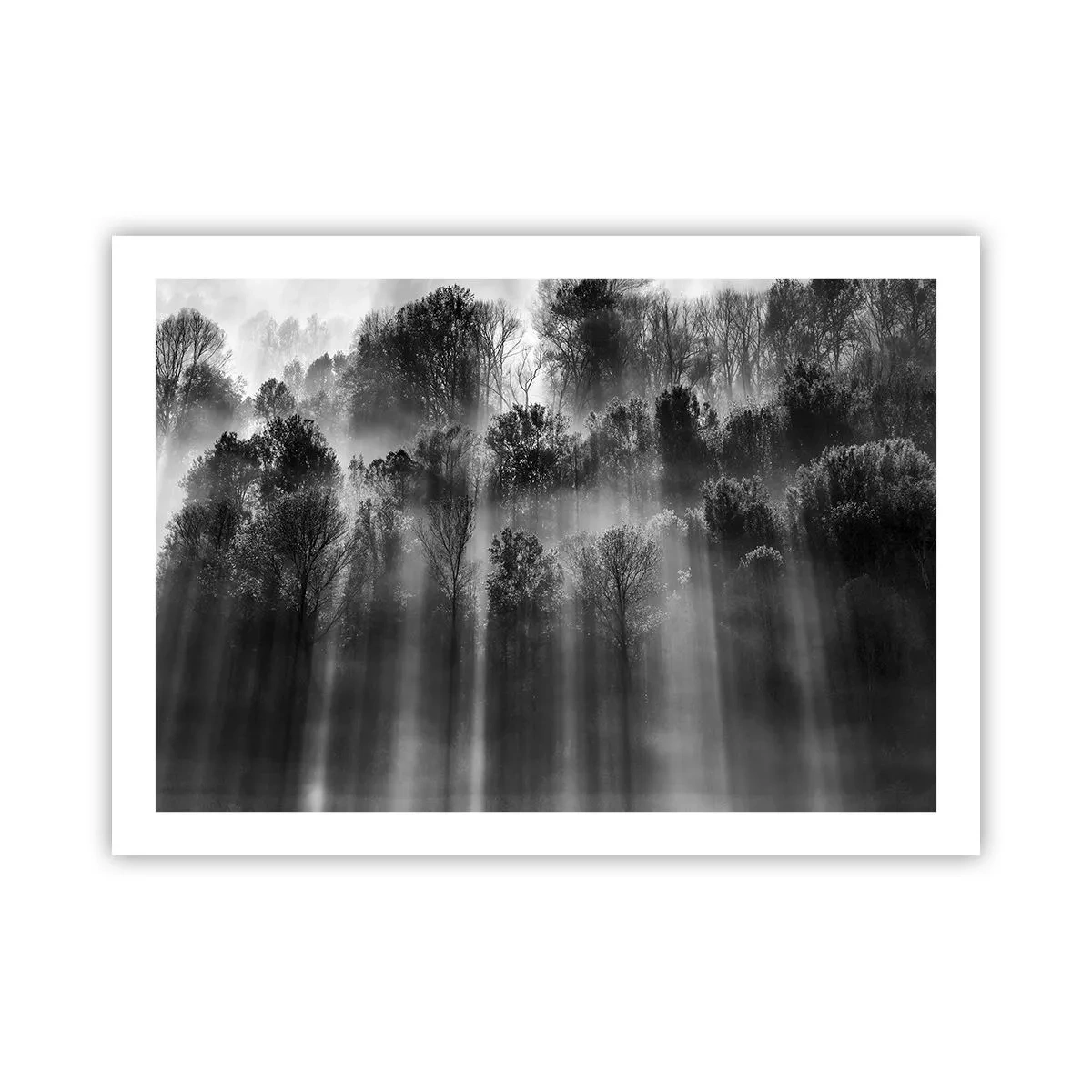 Plagát - V lúčoch svetla - 70x50 cm