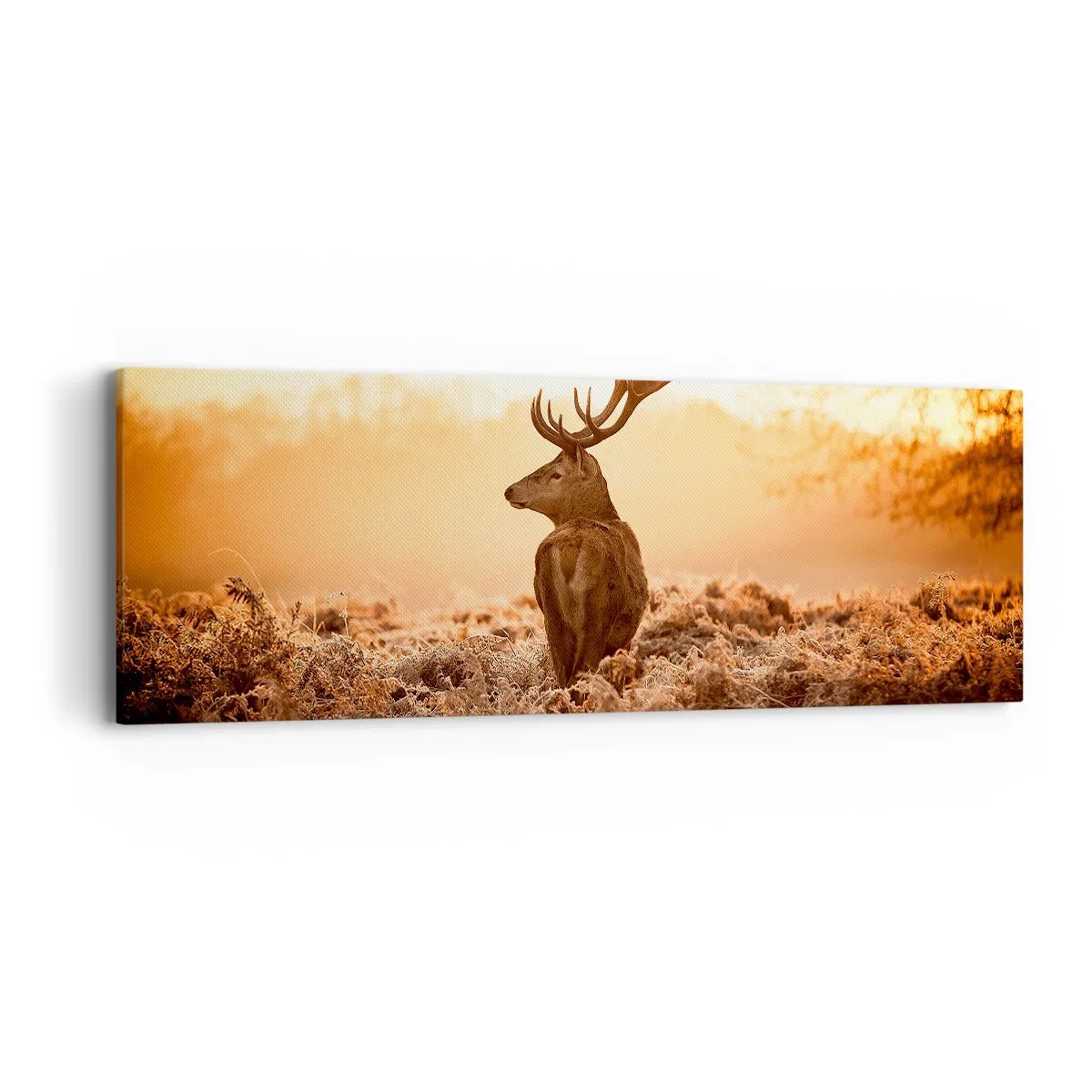 Obraz na plátne - Pán na panstve - 90x30 cm