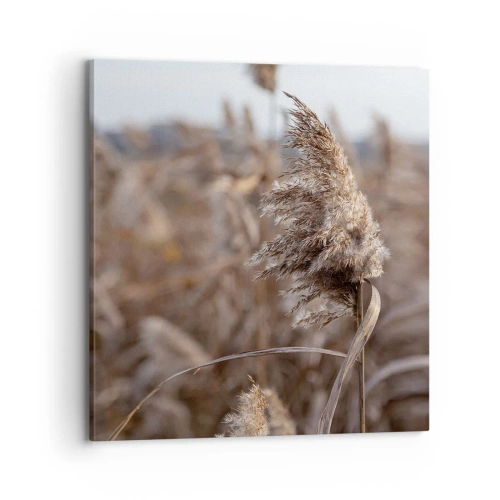 Obraz na plátne - Čas odletieť s vetrom - 70x70 cm