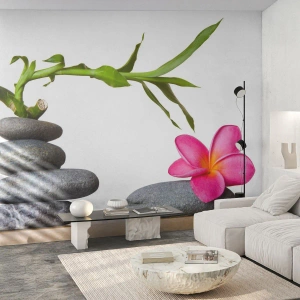 Fototapeta Standard Eco - Farby života a trvania - Kvetina, Kamene, Kúpele - 250x175 cm