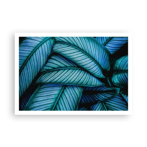 Plagát - Čiary života - 100x70 cm