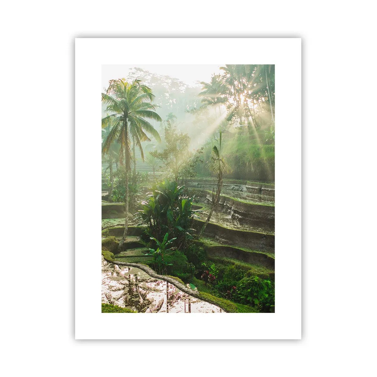 Plagát - Vyrastať na slnku - 30x40 cm