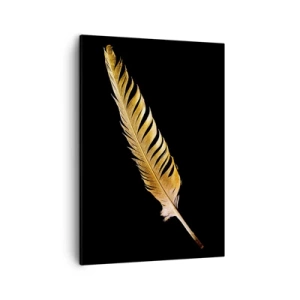 Obraz na plátne - Krásne pierko… - 50x70 cm