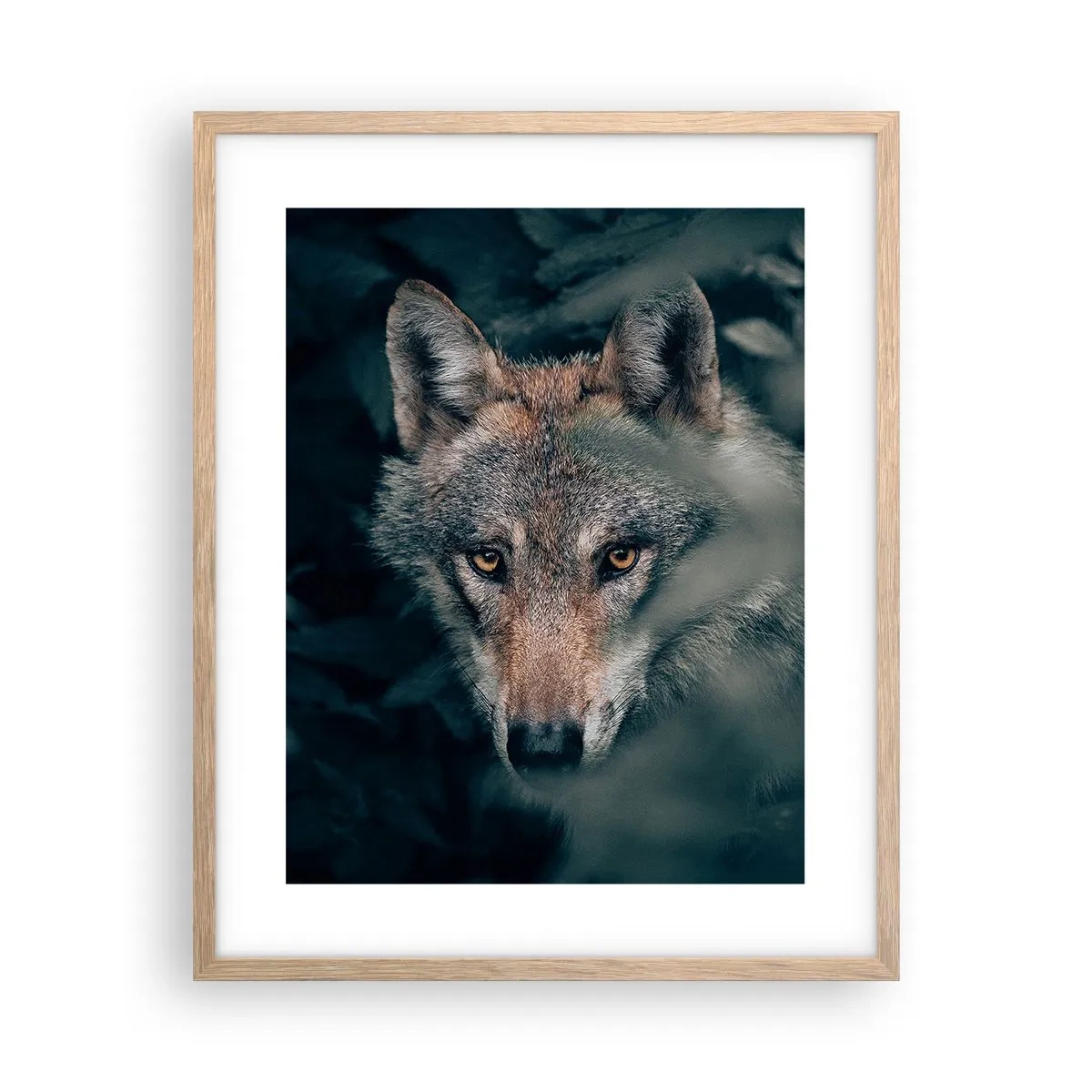 Plagát v ráme zo svetlého duba - Predátor - 40x50 cm