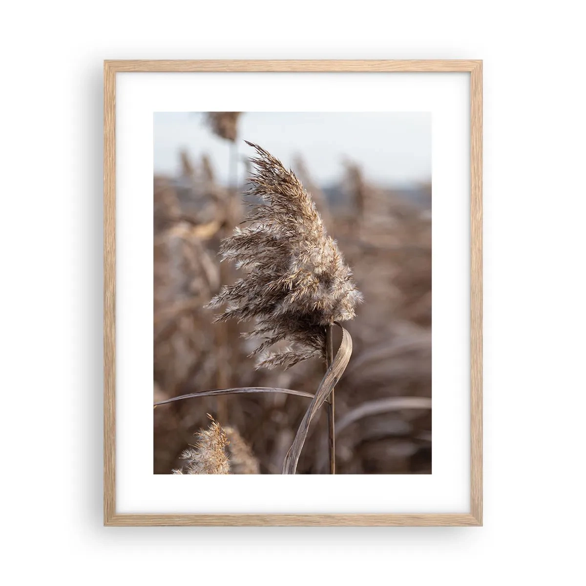 Plagát v ráme zo svetlého duba - Čas odletieť s vetrom - 40x50 cm