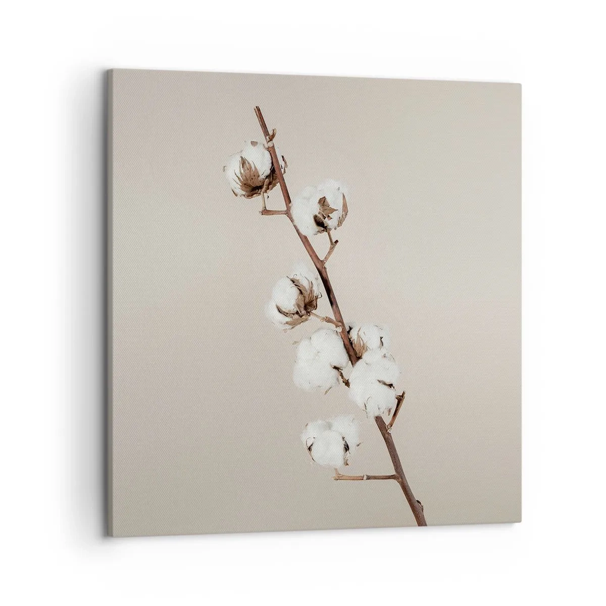 Obraz na plátne - Pri zdroji mäkkosti - 50x50 cm