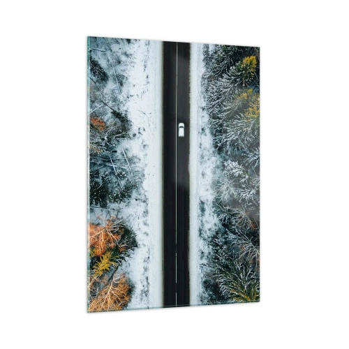 Obraz na skle - Cez zimný les - 50x70 cm