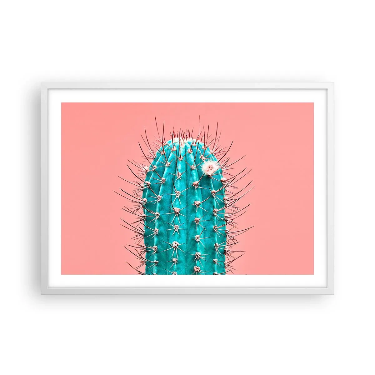 Plagát v bielom ráme - Len pozeraj - 70x50 cm