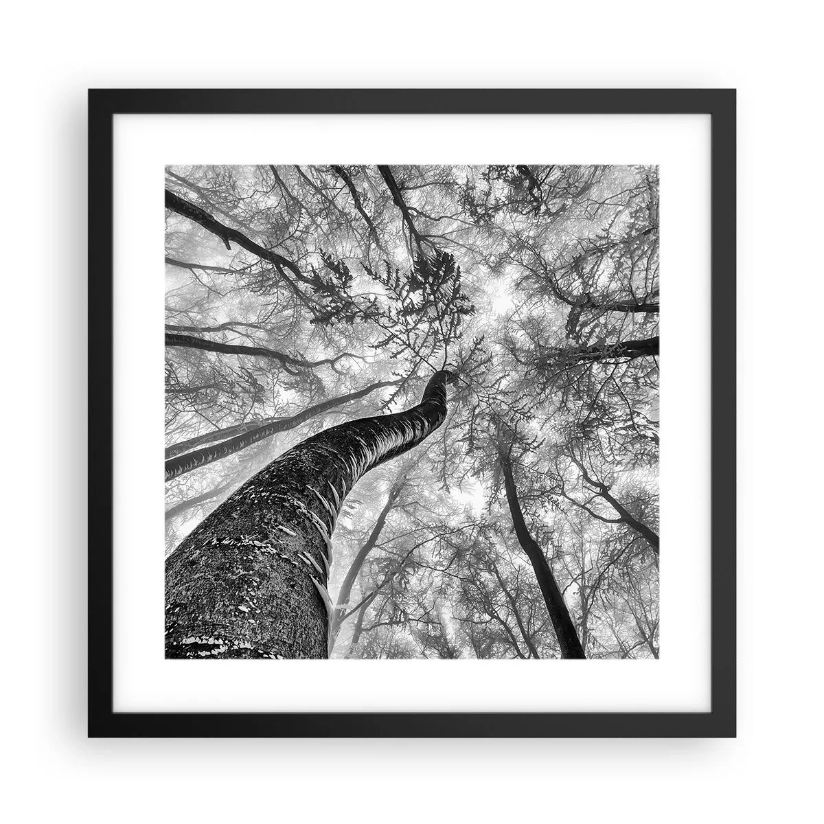 Plagát v čiernom ráme - Závod ku svetlu - 40x40 cm