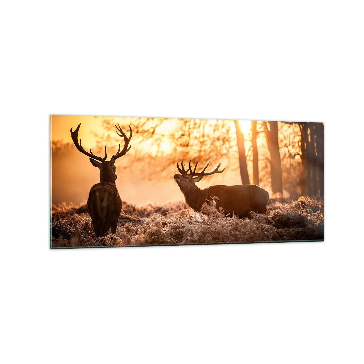 Obraz na skle - Sen poľovníka - 120x50 cm