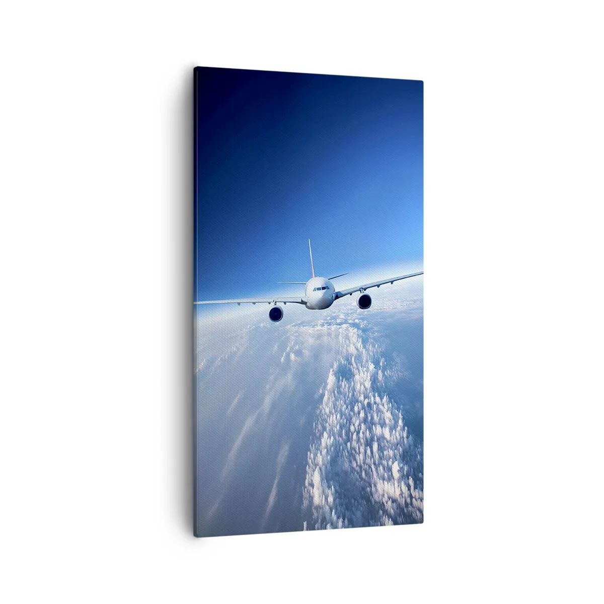 Obraz na plátne - Letím lebo chcem - 55x100 cm