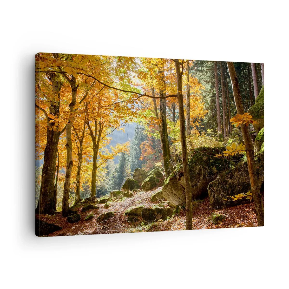 Obraz na plátne - Jesenný les plný zlatých listov a slnečného svetla - 70x50cm - Čas na odpočinok - Moderná nástenná dekorácia do obývacej izby a spálne ARTTOR