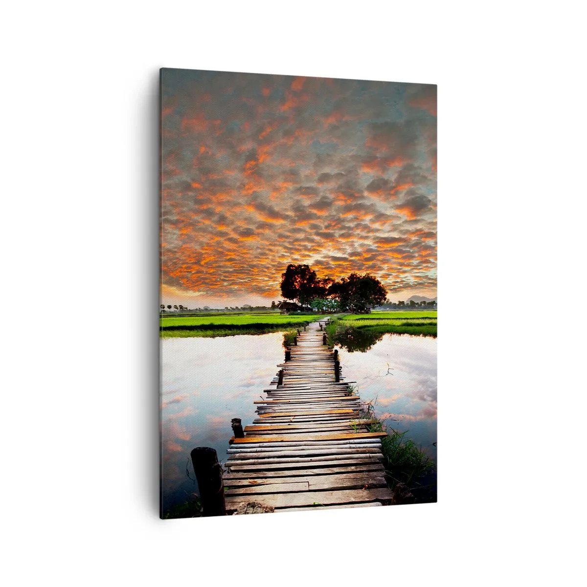 Obraz na plátne - Roztiahnite ruky - dýchajte  - 70x100 cm