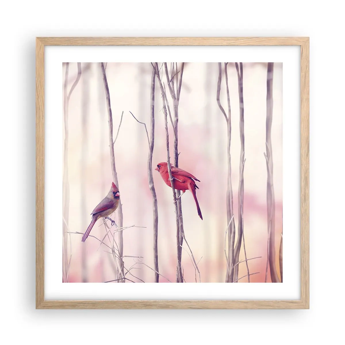 Plagát v ráme zo svetlého duba - Príbeh ružového lesa - 50x50 cm