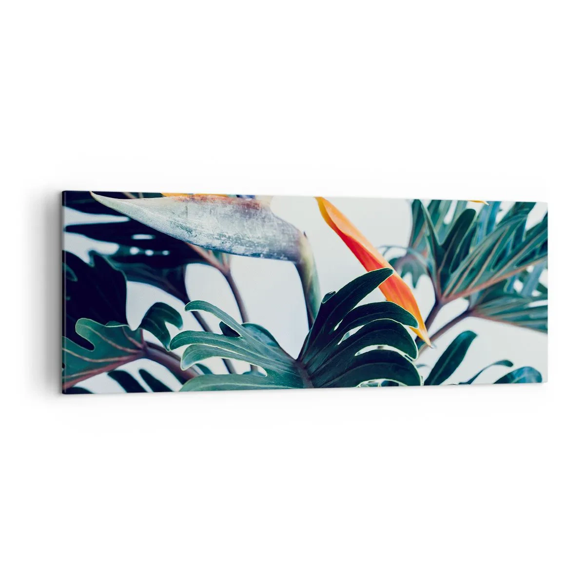 Obraz na plátne - Vtáker - 140x50 cm