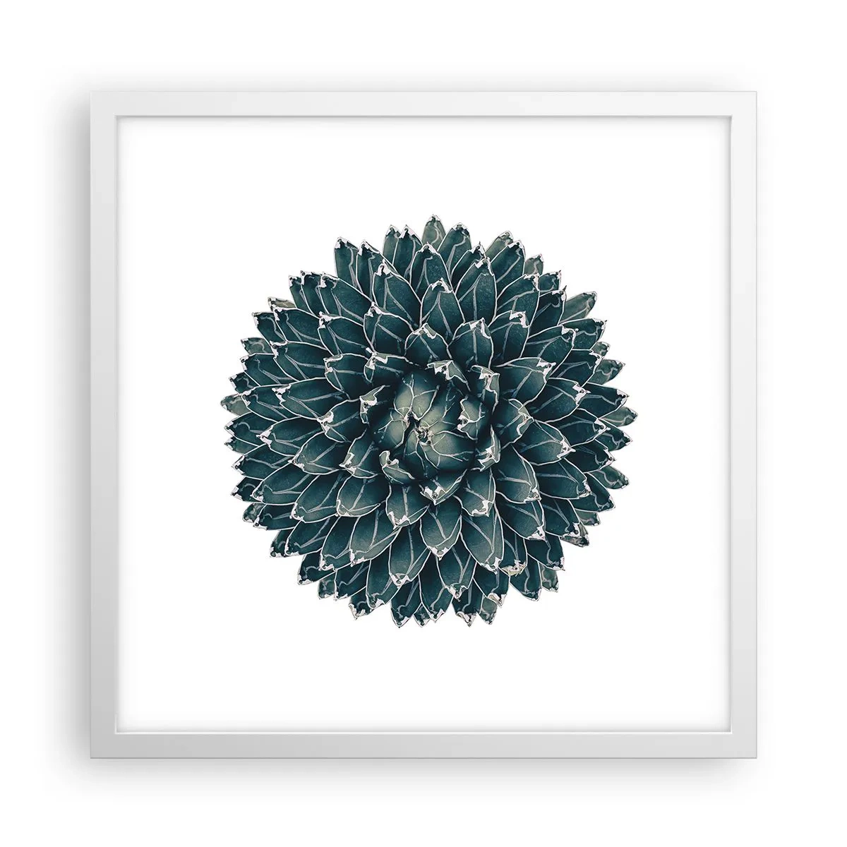 Plagát v bielom ráme - Hviezda púšte - 40x40 cm