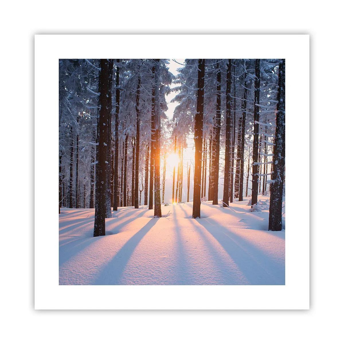 Plagát - Jasne čierne na bielom - 40x40 cm