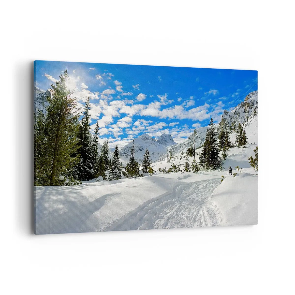 Obraz na plátne - V snehu a na slnku - 100x70 cm