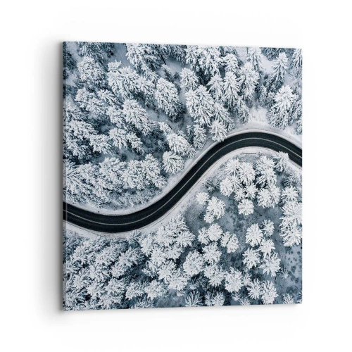 Obraz na plátne - Zimným lesom - 70x70 cm