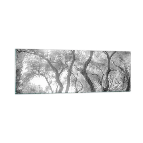 Obraz na skle - V olivovom háji - 90x30 cm