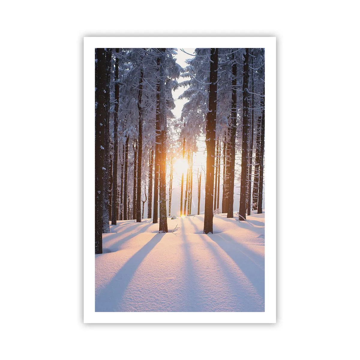 Plagát - Jasne čierne na bielom - 61x91 cm