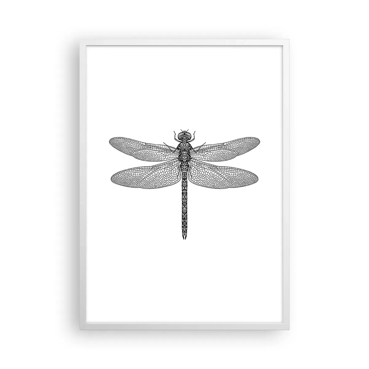 Plagát v bielom ráme - Presnosť prírody - 50x70 cm