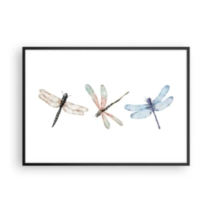 Plagát v čiernom ráme - Beztiažové vážky - 100x70 cm