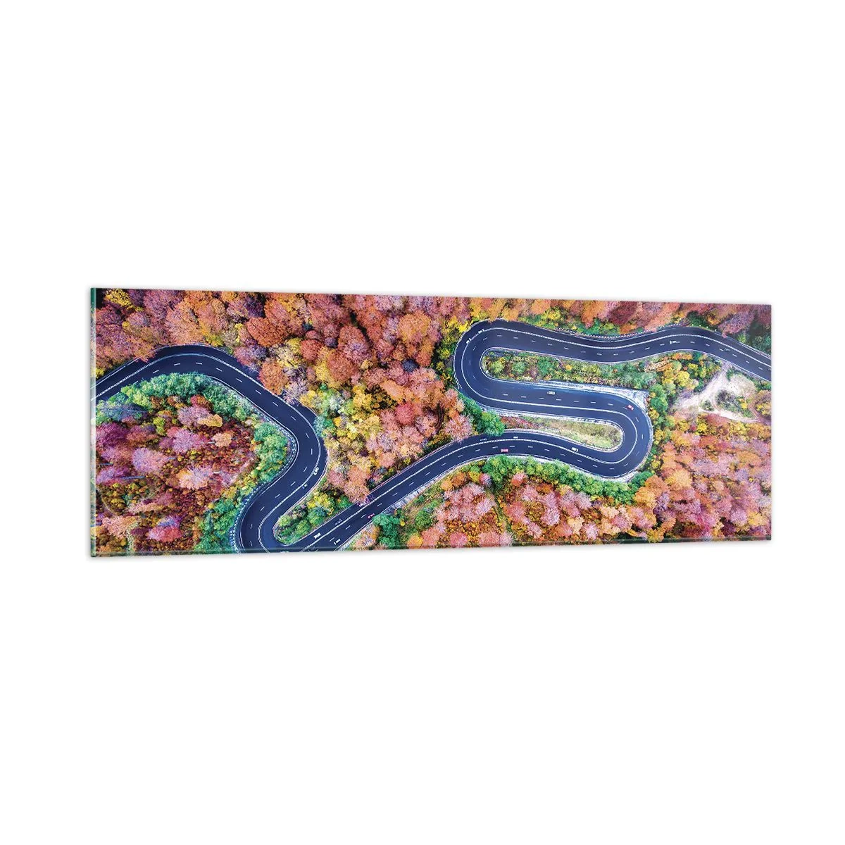 Obraz na skle - Kľukatá cesta lesom - 90x30 cm