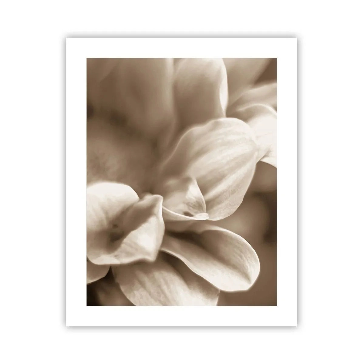 Plagát - Nežné ako úsmev - 40x50 cm