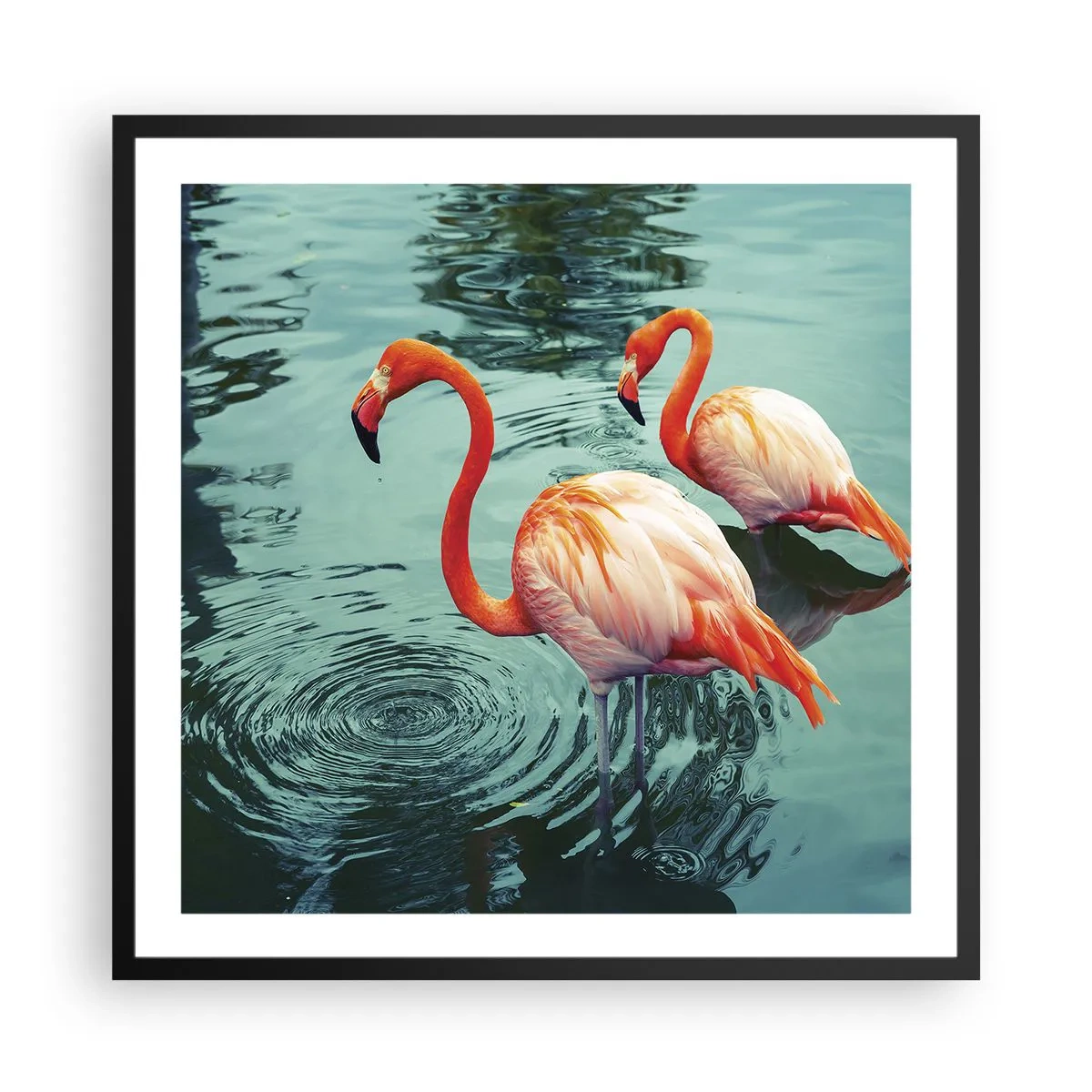 Plagát v čiernom ráme - Teraz sme v móde - 60x60 cm
