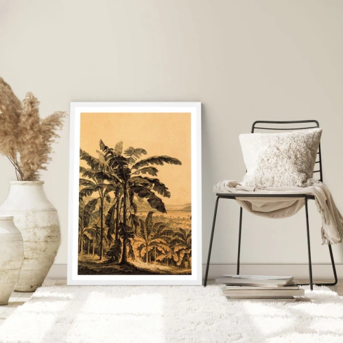 Plagát v bielom ráme - V koloniálnom štýle - 50x70 cm