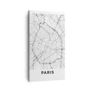 Obraz na plátne - Kvet Paríža - 45x80 cm