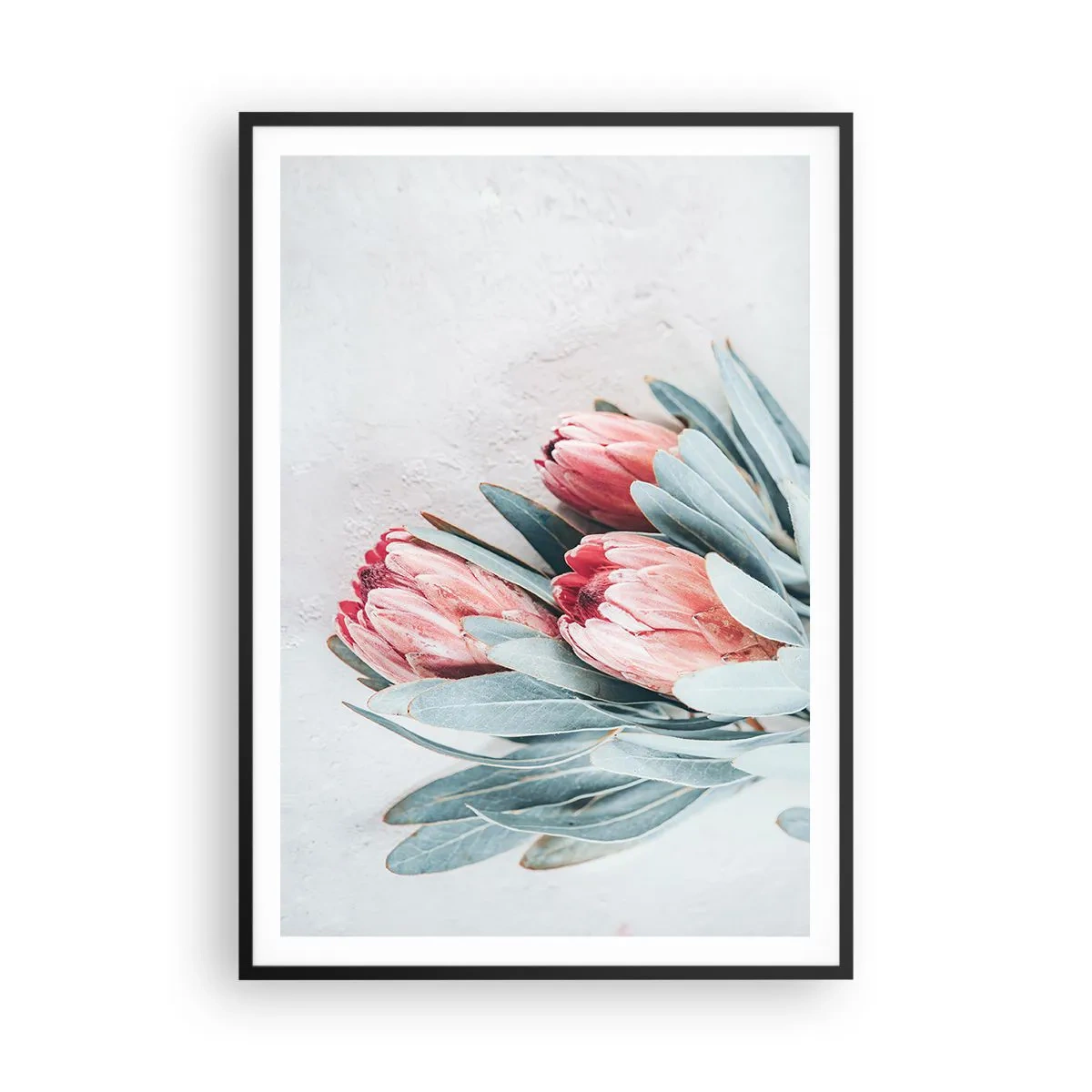 Plagát v čiernom ráme - Zahanbené svojou vlastnou krásou - 70x100 cm