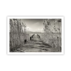 Plagát - V ústraní tráv - 91x61 cm