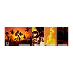 Vzorka fototapety Premium Sand - Horia hory, horia lesy - palmy, trópy, slnko - 100x30 cm