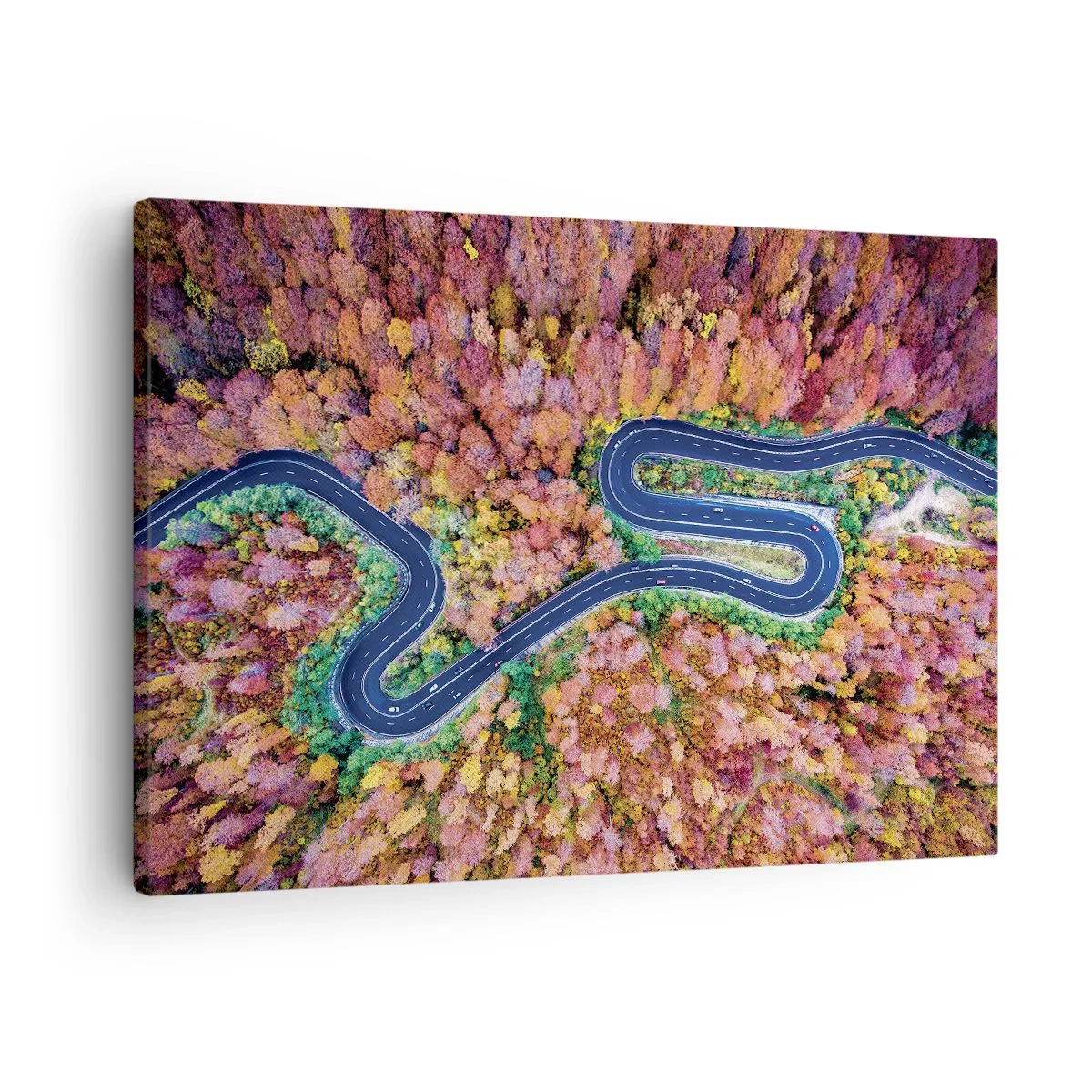 Obraz na plátne - Kľukatá cesta v jesennom lese z vtáčej perspektívy - 70x50cm - Kľukatá cesta lesom - Moderná nástenná dekorácia do obývacej izby a spálne ARTTOR